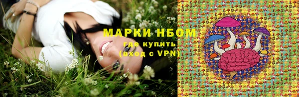 бошки Надым