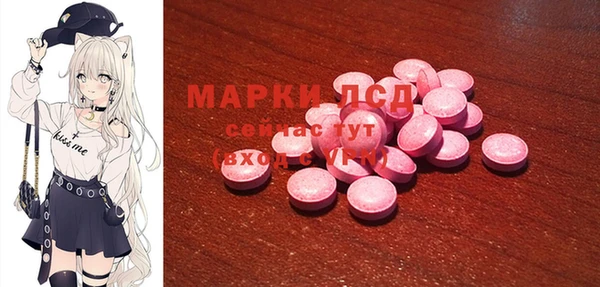 PSILOCYBIN Навашино