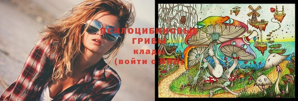 прущий лед Наволоки