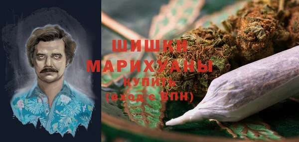 PSILOCYBIN Навашино