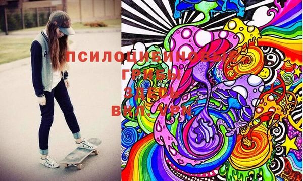 бошки Надым