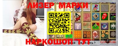 apvp Кингисепп