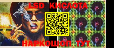 apvp Кингисепп