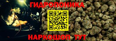 apvp Кингисепп