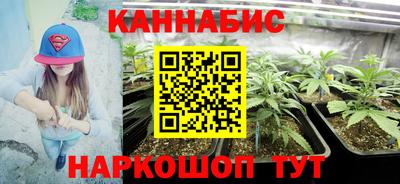 шишки Абинск
