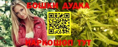 apvp Кингисепп