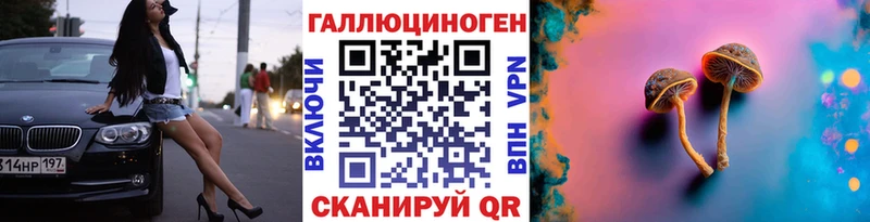 Галлюциногенные грибы GOLDEN TEACHER  МЕГА как войти  Новошахтинск 
