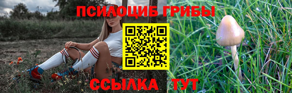 Галлюциногенные грибы мицелий Новошахтинск