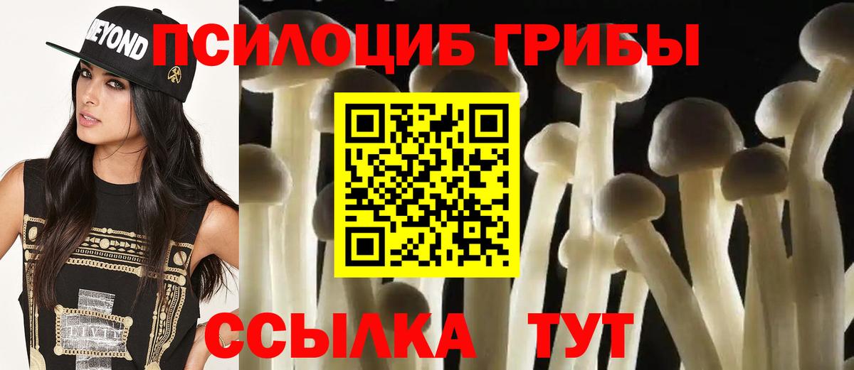 Галлюциногенные грибы Magic Shrooms  Вход с VPN  Новошахтинск 