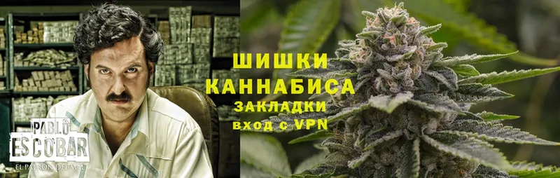 цены   Новошахтинск  Каннабис OG Kush 