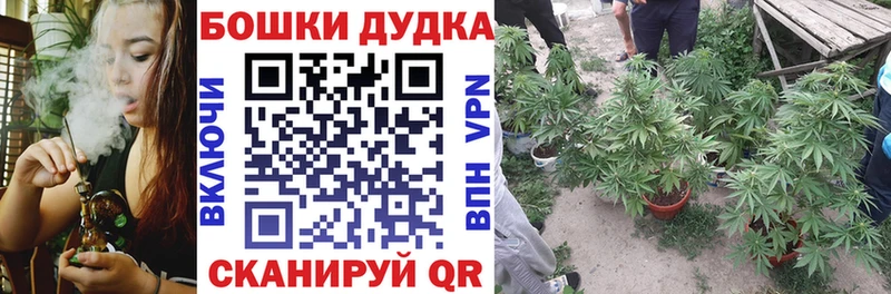 где можно купить   Новошахтинск  даркнет как зайти  Бошки Шишки план 