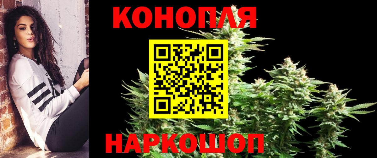 Бошки марихуана сатива Новошахтинск